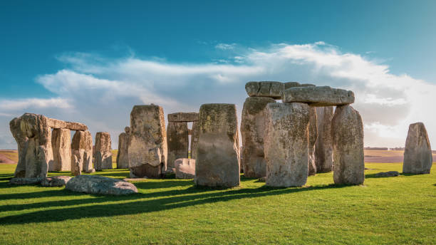 Picture of the stone hedges.